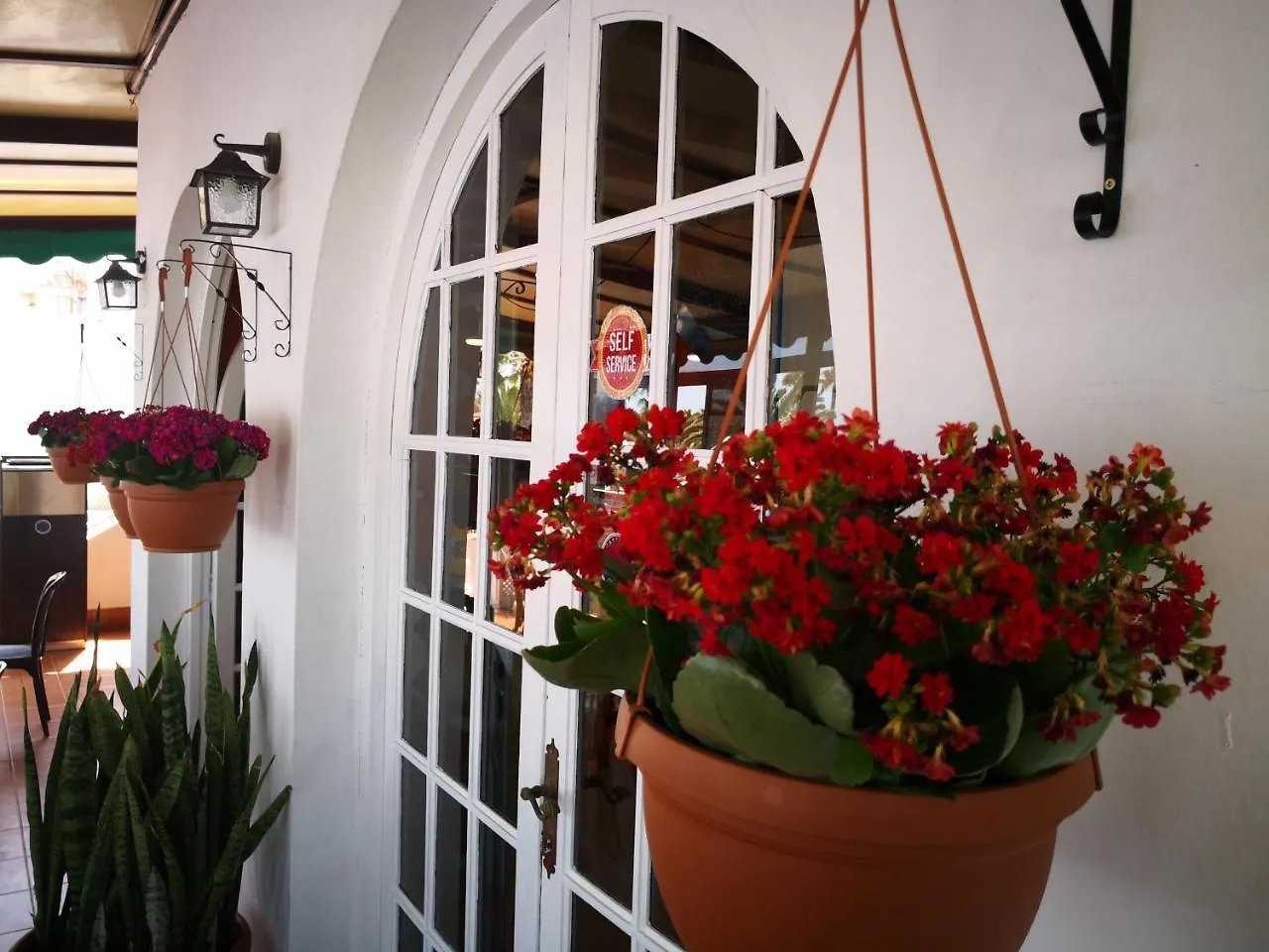 Bungalows Castillo Club Lake Калета-де-Фусте 2*,  Испания